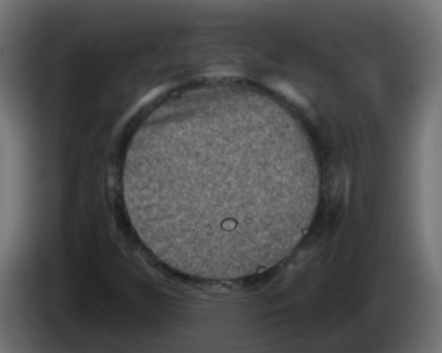 X0000086051255200704131949