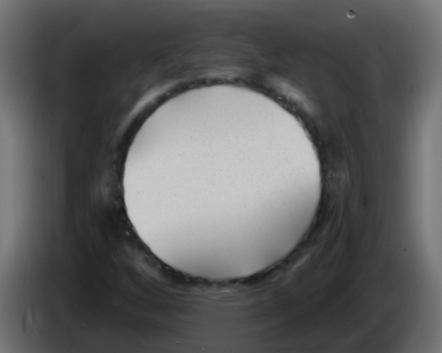 X0000086051256200704131949