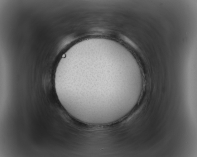 X0000086051259200704131949