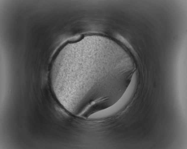 X0000086051260200704131948