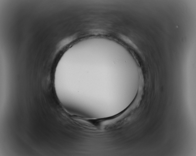 X0000086051261200704131948