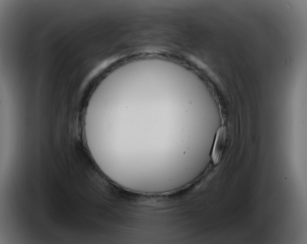 X0000086051262200704131948