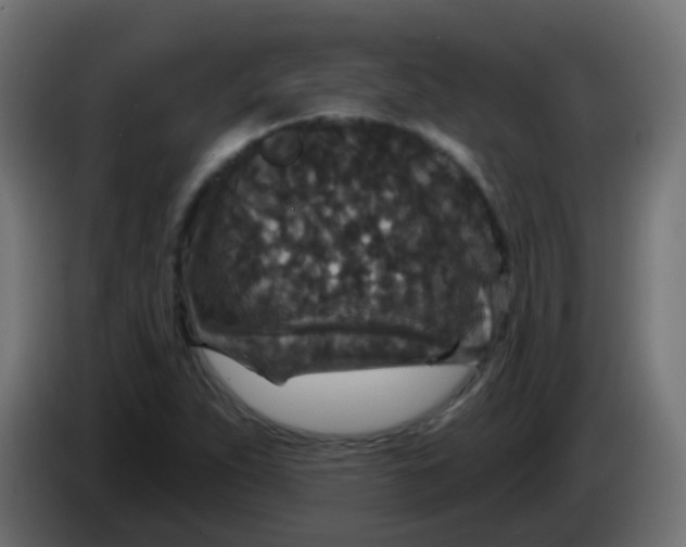 X0000086051263200704131948