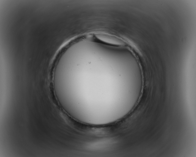 X0000086051264200704131948