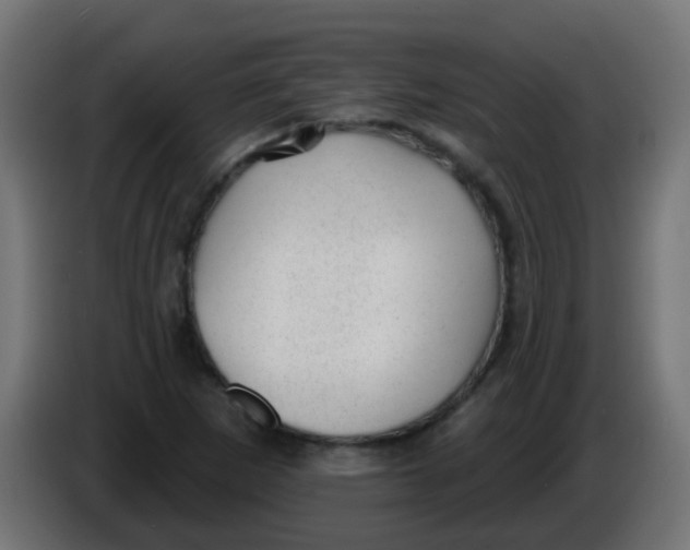 X0000086051265200704131948