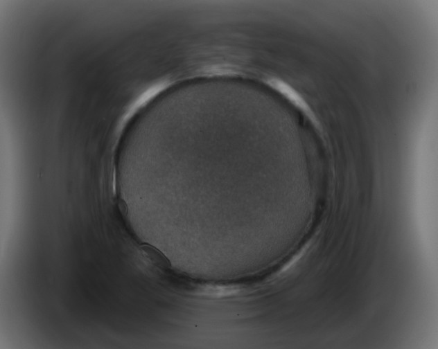 X0000086051269200704131948