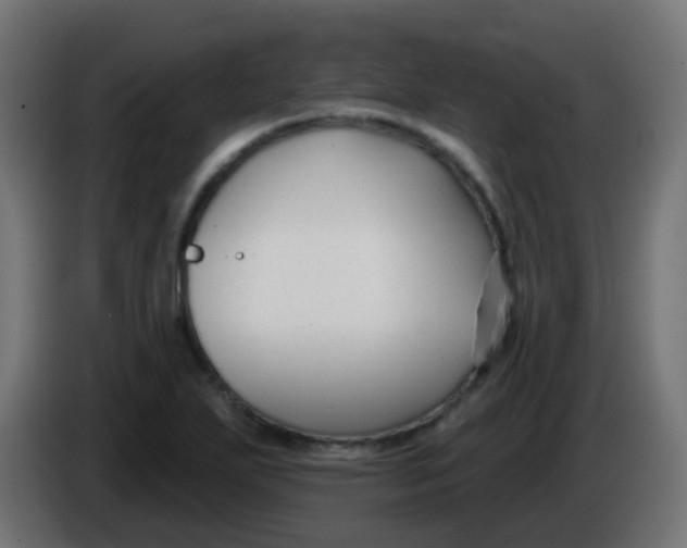 X0000086051271200704131948