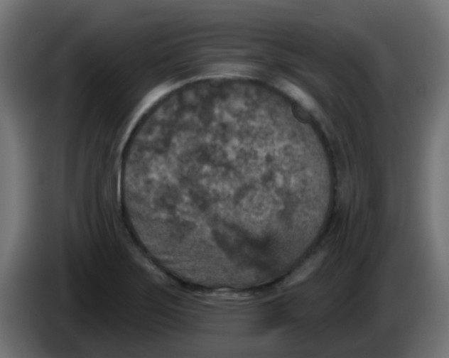 X0000086051275200704131948