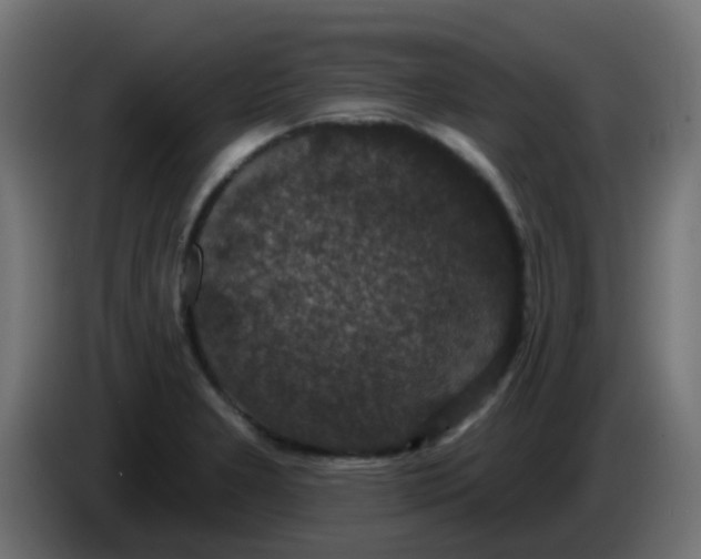 X0000086051277200704131948