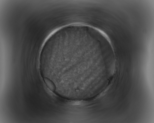 X0000086051279200704131948