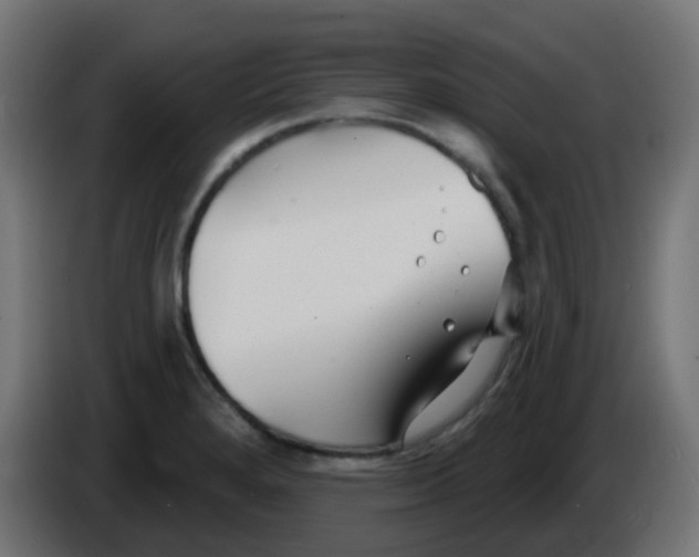 X0000086051280200704131948
