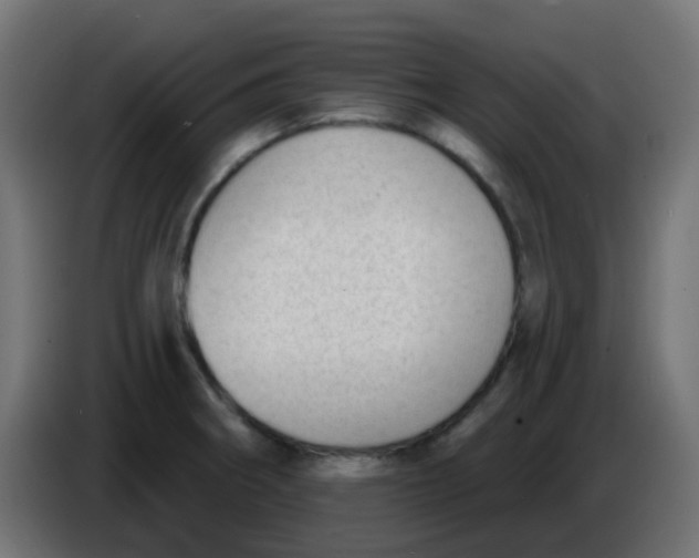 X0000086051282200704131948