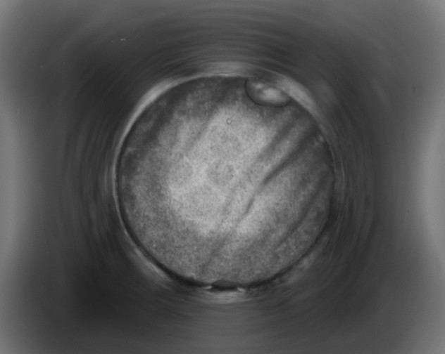 X0000086051283200704131948