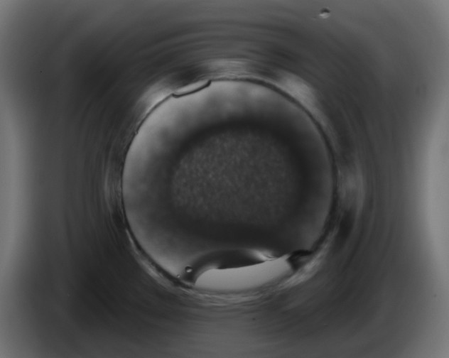 X0000086051289200704131948