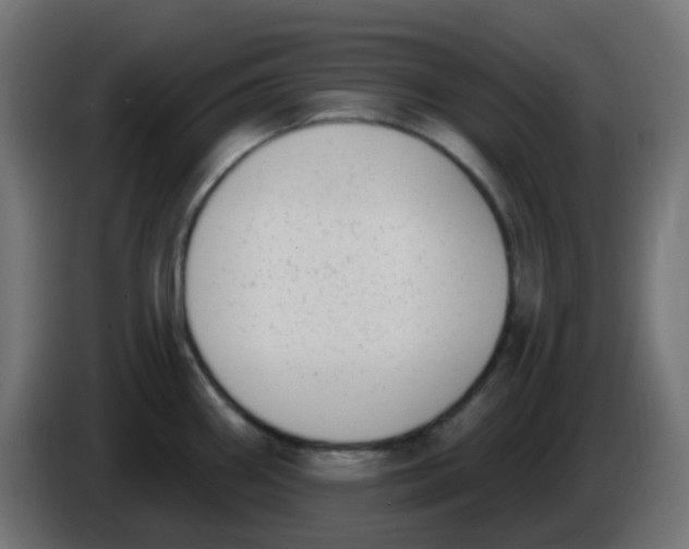 X0000086051290200704131948