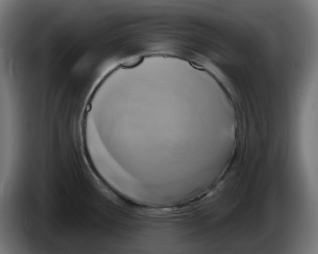 X0000086051291200704131948