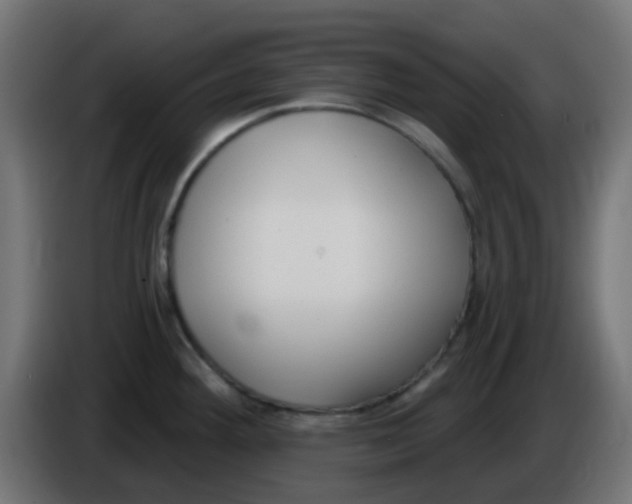 X0000086051292200704131948