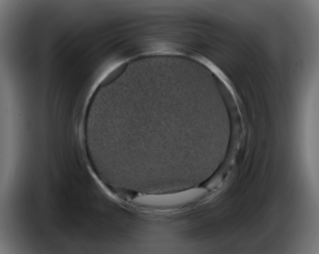 X0000086051293200704131948