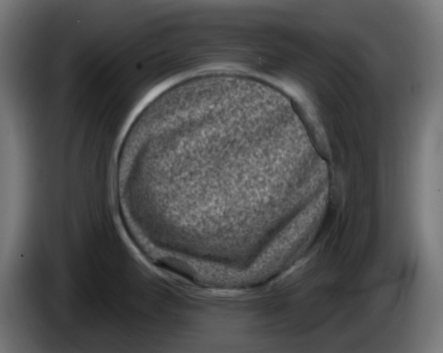 X0000086051295200704131948