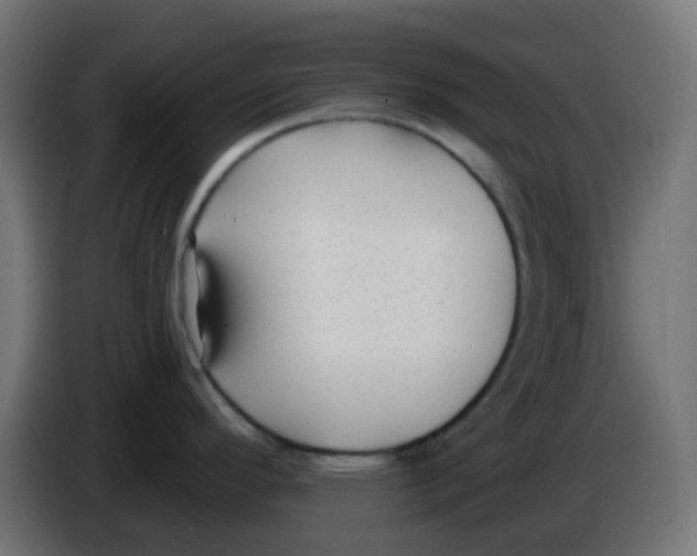 X0000086051296200704131948