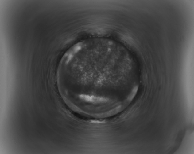 X0000086051297200704131947