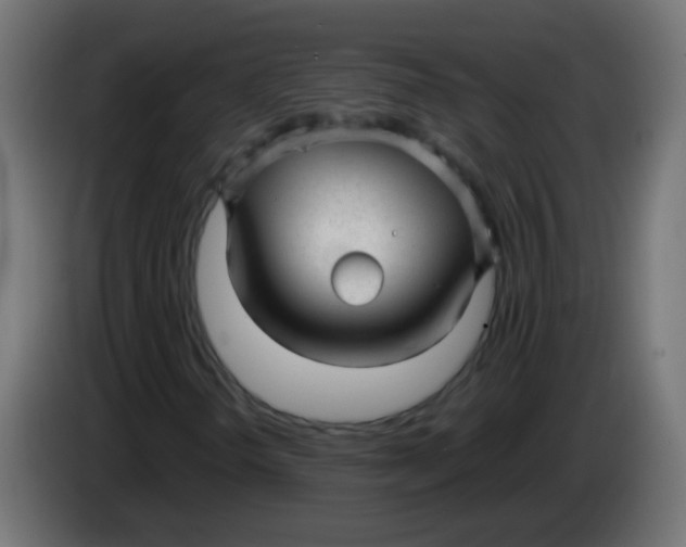 X0000086051298200704131947