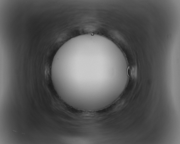 X0000086051299200704131947