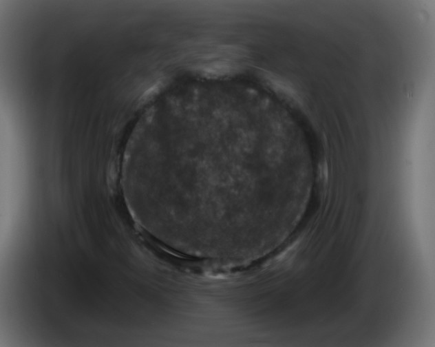 X0000086051300200704131947