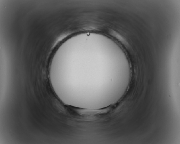 X0000086051308200704131947
