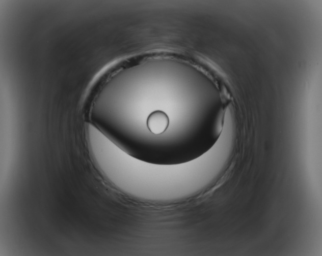 X0000086051310200704131947