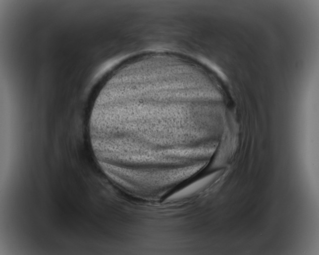 X0000086051311200704131948
