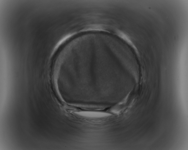 X0000086051312200704131948
