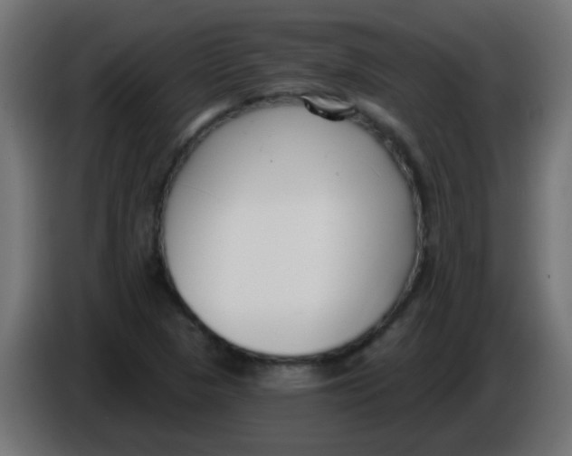 X0000086051313200704131948