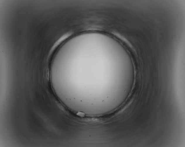 X0000086051317200704131948