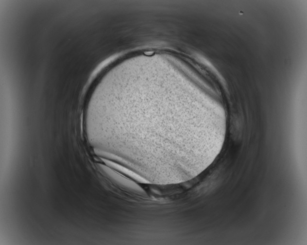 X0000086051320200704131948