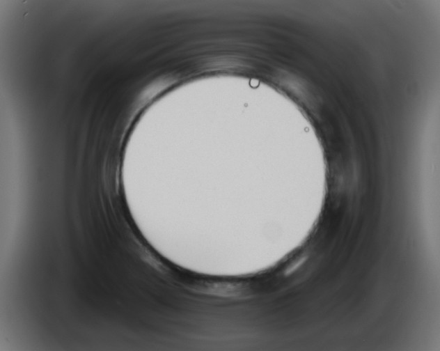 X0000086051322200704131948