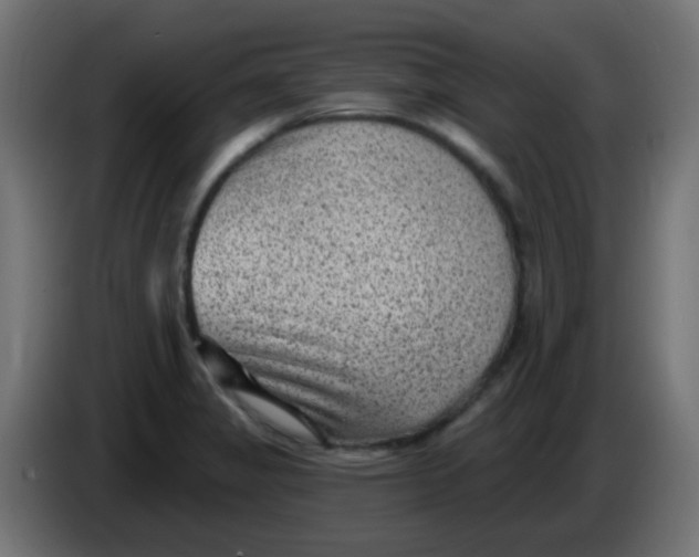 X0000086051325200704131948
