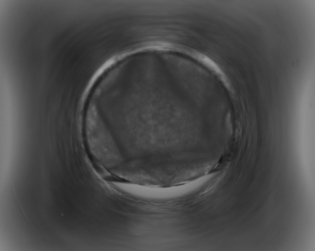 X0000086051326200704131948