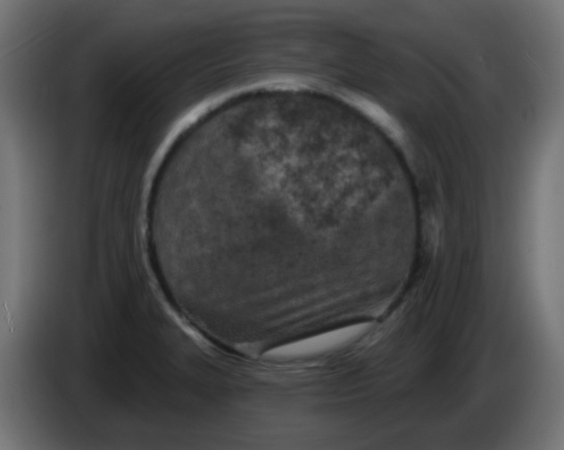 X0000086051327200704131948