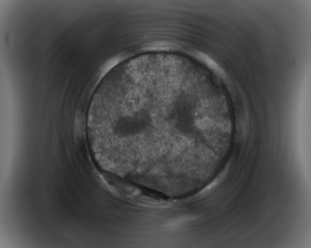 X0000086051329200704131948
