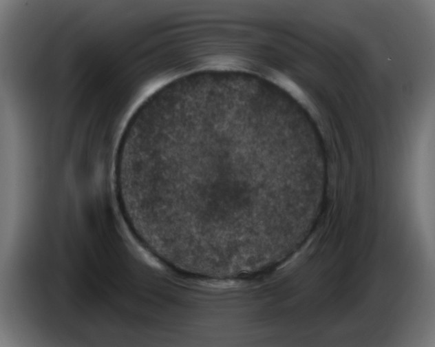 X0000086051331200704131948