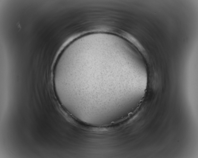 X0000086051332200704131948