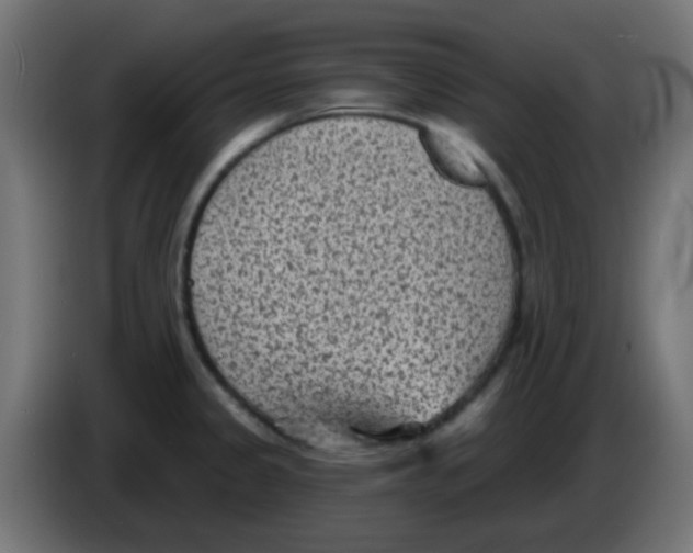 X0000086051333200704131948