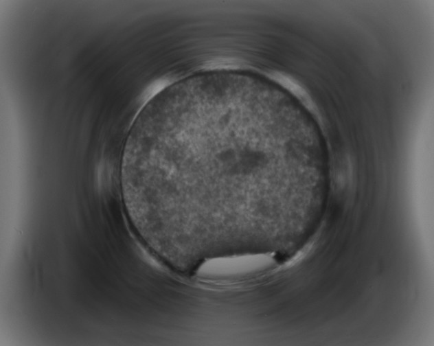 X0000086051337200704131948