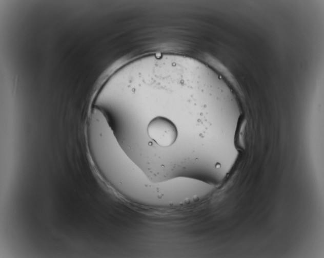X0000086051338200704131948