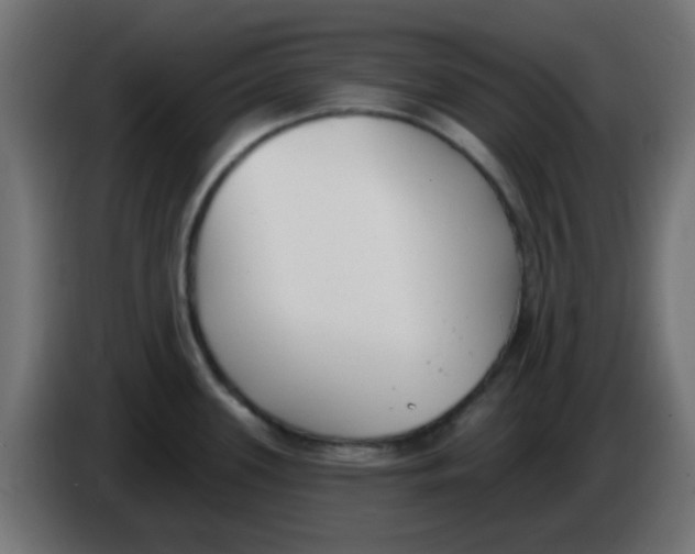 X0000086051339200704131948