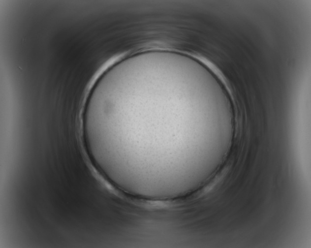 X0000086051341200704131948