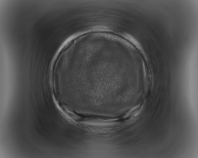 X0000086051342200704131948