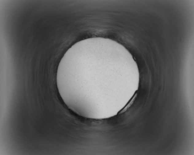 X0000086051345200704131947