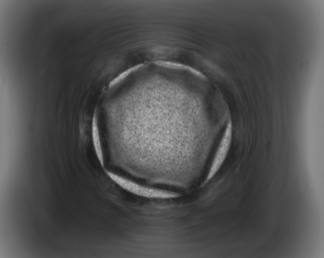 X0000086051346200704131947